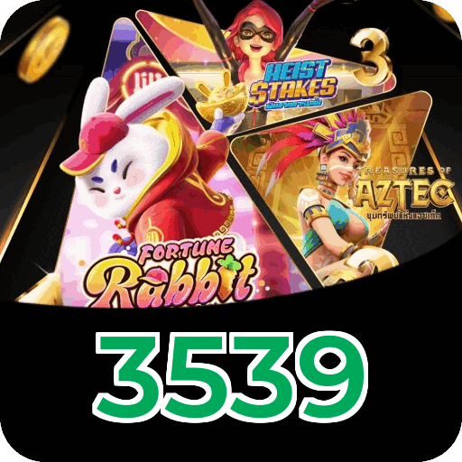 3539 segurança SSL 256-bit